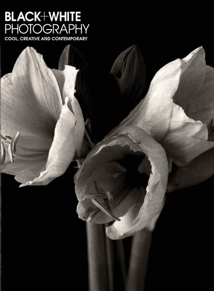 Black + White Photography – February 2020