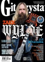 Gitarzysta – Grudzien 2019
