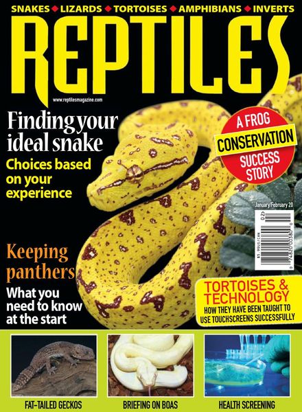 Reptiles – January-February 2020