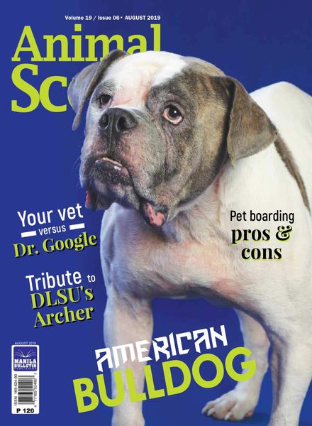 Animal Scene – August 2019