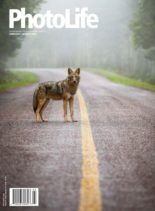Photo Life – February-March 2020