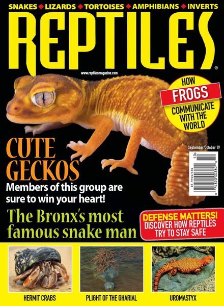 Reptiles – September-October 2019