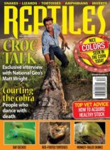 Reptiles – November-December 2019