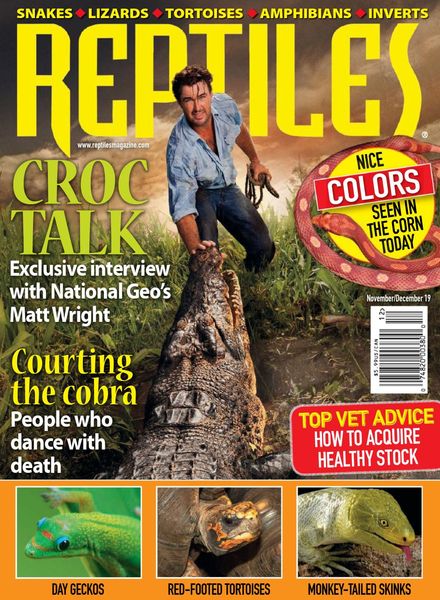 Reptiles – November-December 2019