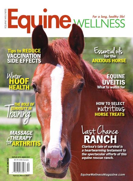Equine Wellness – February-March 2017