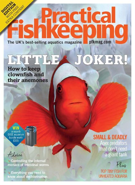 Practical Fishkeeping – March 2020