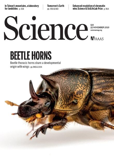 Science – 22 November 2019