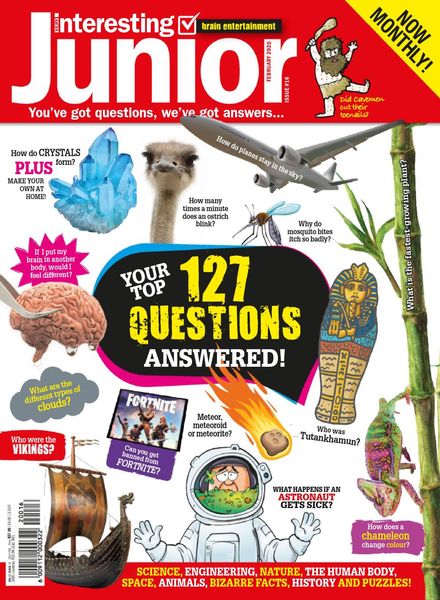 Very Interesting Junior – February 2020
