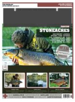Carpworld – February 2020