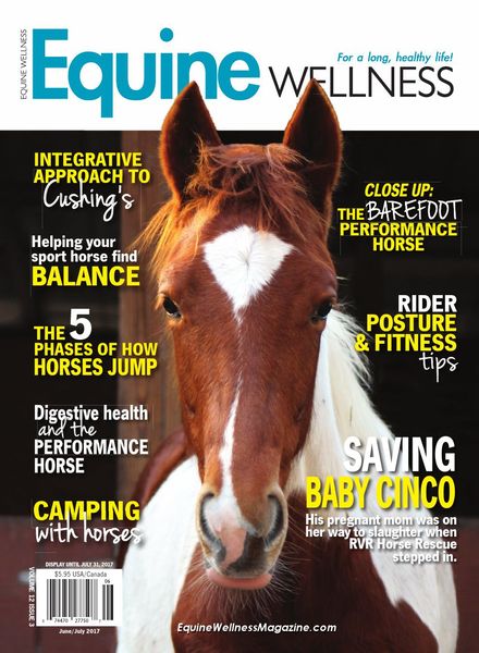 Equine Wellness Magazine – June-July 2017