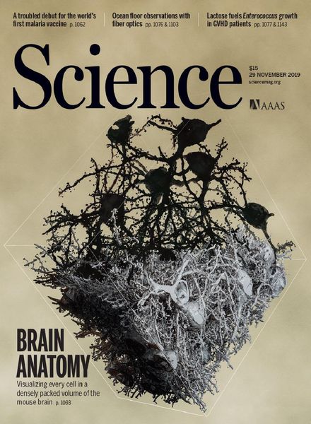 Science – 29 November 2019