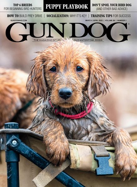 Gun Dog – March 2020