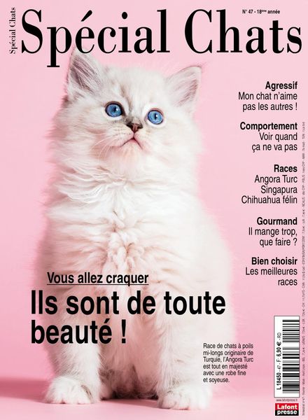 Special Chats – janvier 2020