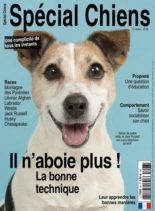 Special Chiens – janvier 2020
