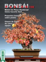 Bonsai Pasion – febrero 2020