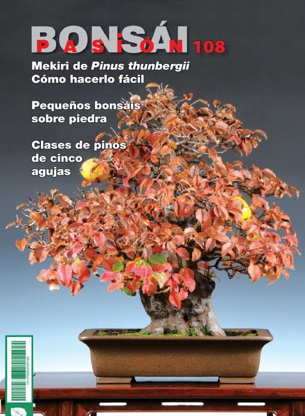 Bonsai Pasion – febrero 2020