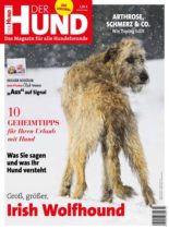 Der Hund – Marz 2020