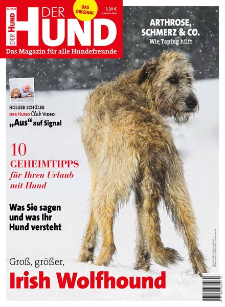 Der Hund – Marz 2020
