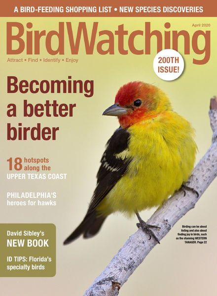 BirdWatching USA – March-April 2020