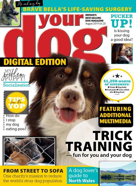 Your Dog – August 2019