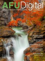 Afu.Digital – Enero 2020