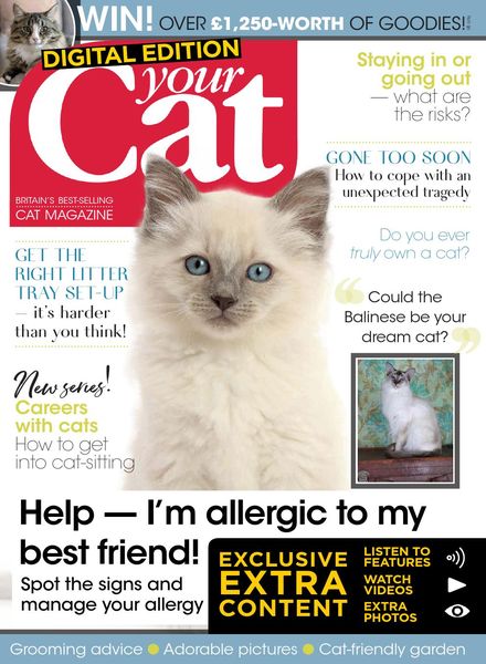 Your Cat – July 2019