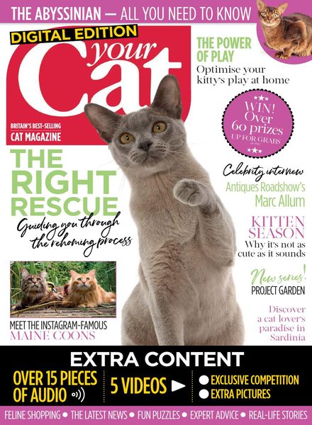 Your Cat – March 2019