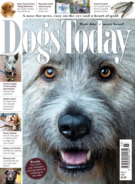 Dogs Today UK – March 2020