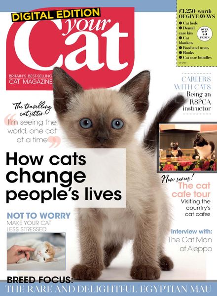 Your Cat – March 2020