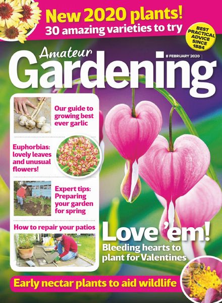 Amateur Gardening – 08 February 2020