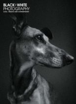 Black + White Photography – July 2019