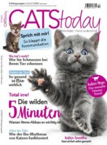 Cats Today – Februar 2020