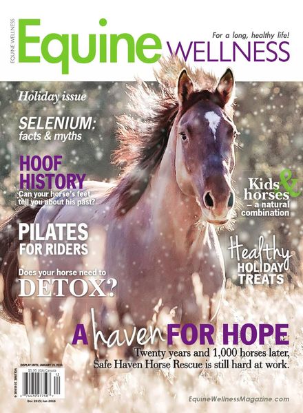 Equine Wellness Magazine – December 2015 – January 2016
