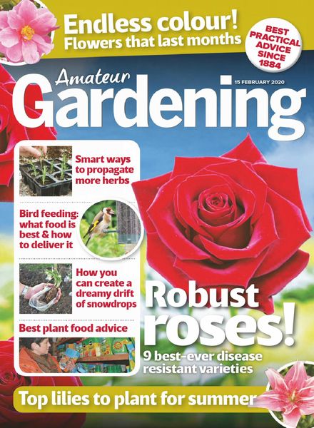 Amateur Gardening – 15 February 2020