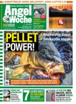 Angel Woche – 21 Februar 2020