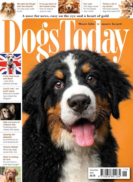 Dogs Today UK – November 2019