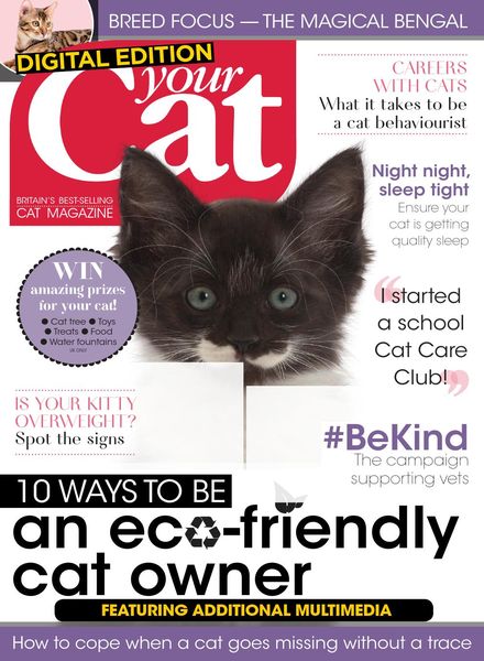 Your Cat – August 2019