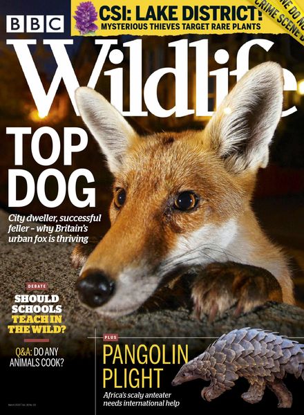 BBC Wildlife – March 2020
