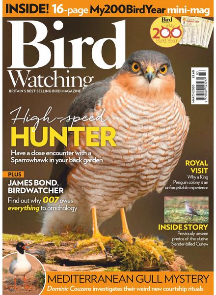 Bird Watching UK – March 2020