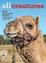 All Creatures – March 2020
