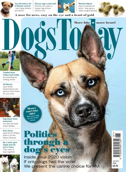 Dogs Today UK – January 2020