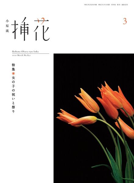 eBooks – 2020-03-01