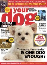 Your Dog – April 2020