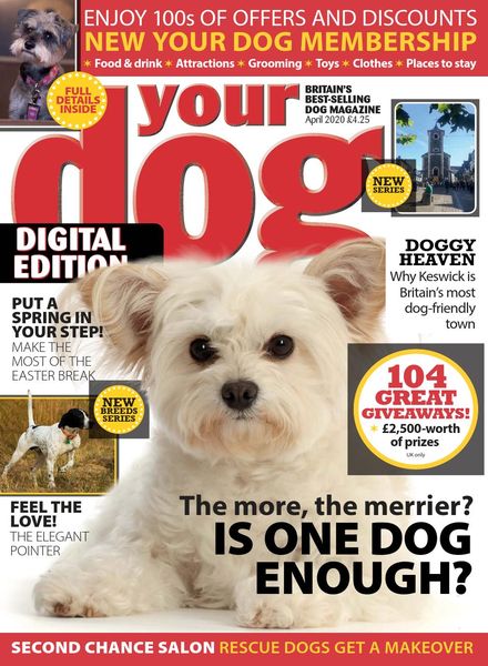 Your Dog – April 2020