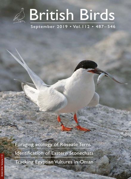 British Birds – September 2019