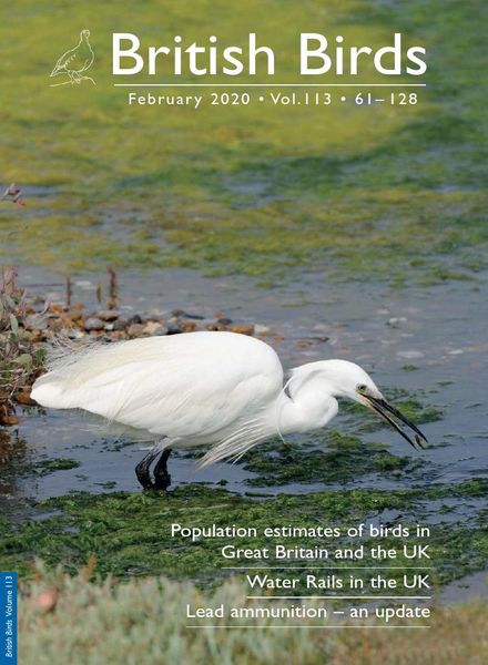 British Birds – February 2020