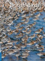 British Birds – January 2020