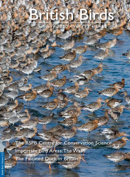 British Birds – January 2020