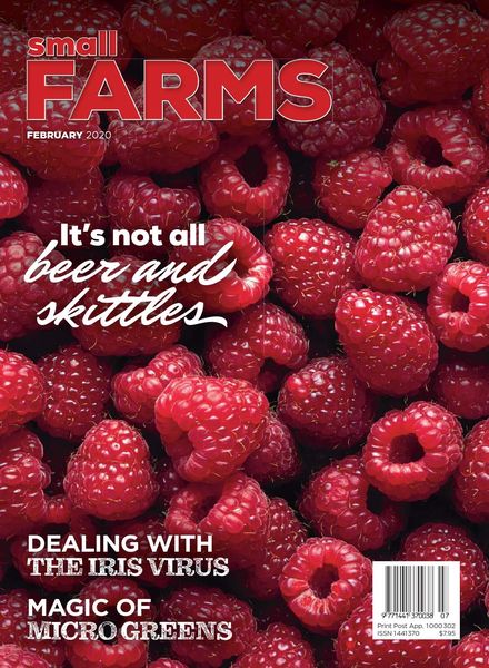 Small Farms – February 2020