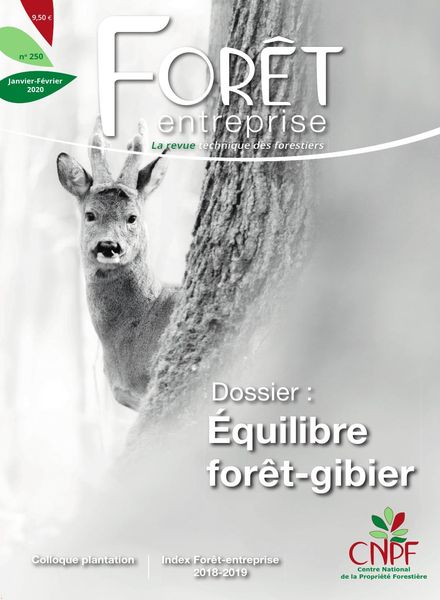 Foret Entreprise – janvier 2020